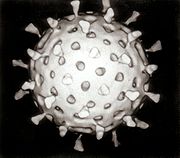 180px-Rotavirus_Reconstruction.jpg