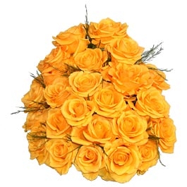 24_two_dozen_yellow_roses_bunch.JPG