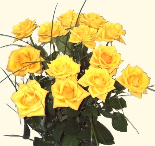 Yellow roses of Texas[1].jpg
