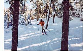 ski de randonnee dans les Laurentides.jpg