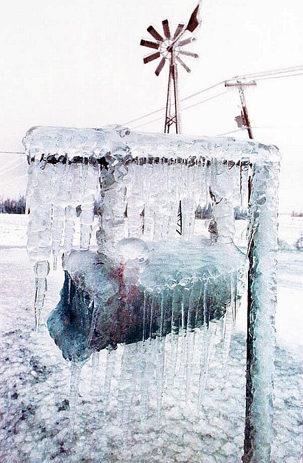 An icy mailbox near Farnham, Quebec, January 1998.jpg