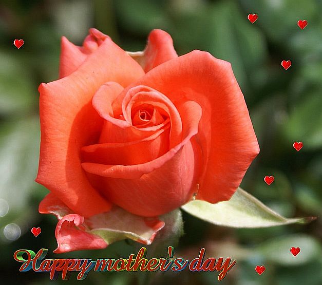 Happy Mother\'s Day.jpg