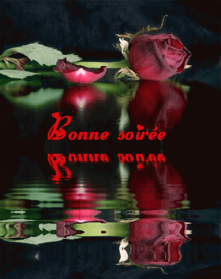 67495795gif-rose-bonne-soiree-gif.gif