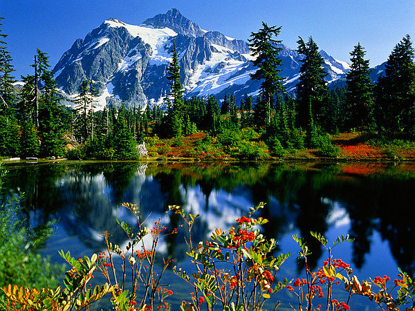 Le Printemps,le magique du renouveau..montagne, lac et fleurs..jpg