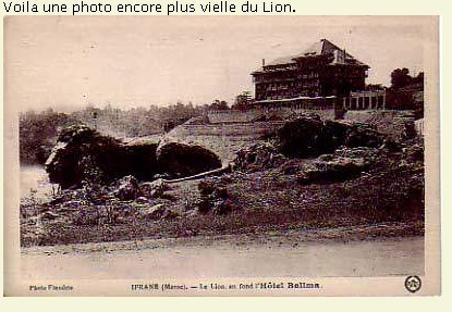 le lion Ifrane-2.jpg