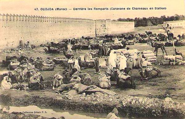 1917.OUDJDA MAROC derriere les remparts caravane de chameaux en station.jpg