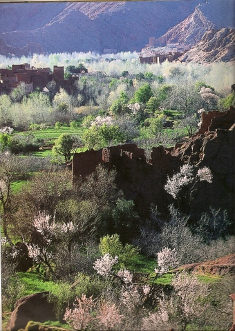 La Vallee du Dades au printemps-1-1.jpg