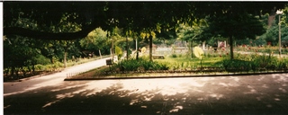 1999 Mai  BENI MELLAL  les jardins  0013.jpg