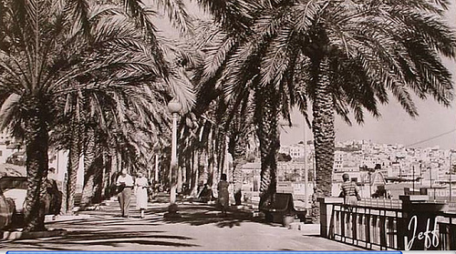 tangier avenida d\'espania 1950s2 .jpg