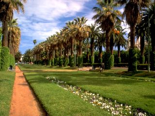 casablanca_photos_parc-central_photos.jpg