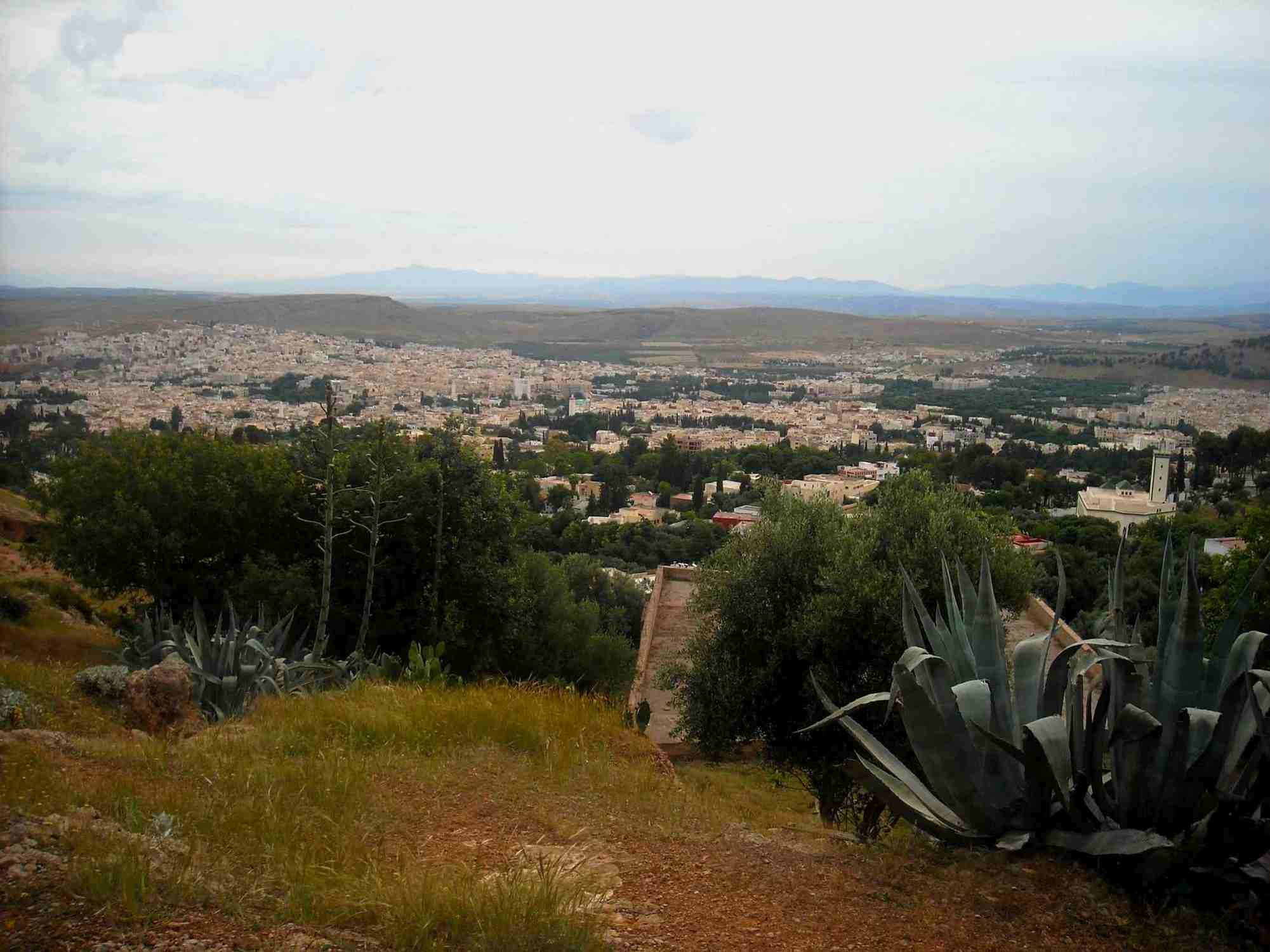vue panoramique  de Sefrou Dimanche 5 juin 2011.JPG