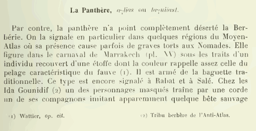 panthere-1.gif
