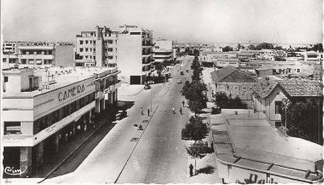 A MEKNES ,AVENUE MEZERGUE ANNEE 1950[1].jpg