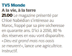 tv5monde.jpg