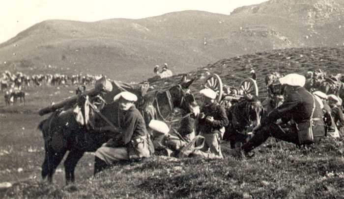 artillerie_mulets en 1911.jpg