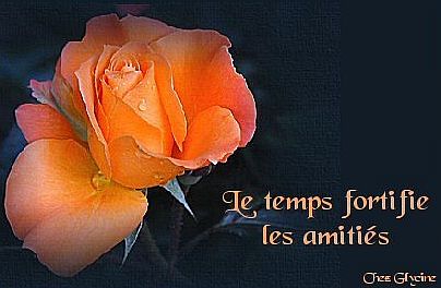 Le temps fortifie les amities, toujours.jpg