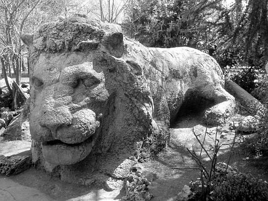 sculpture-lion-hiver-ifran-maroc par prof dessin gouraud.jpg