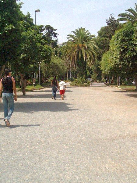 Photo du jardin de la Tour Hassan , Triangler vues..photo prise par  Maria Cristina.jpg