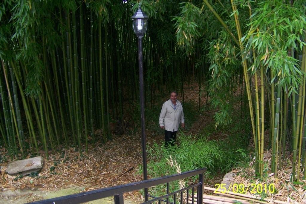 Courniou les bambous 003.jpg