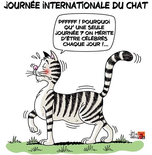 journée-internationale-du-chat.jpg