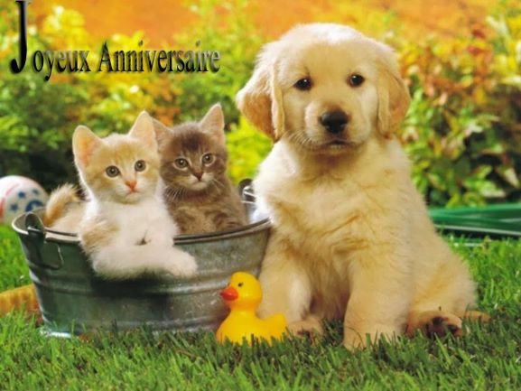 cartes-anniversaires-animaux-gratuites-luxe-carte-d-anniversaire-d-animaux-of-cartes-anniversaires-animaux-gratuites.jpg