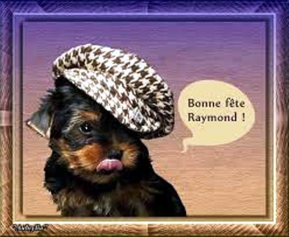 chien casquette raymond.jpg